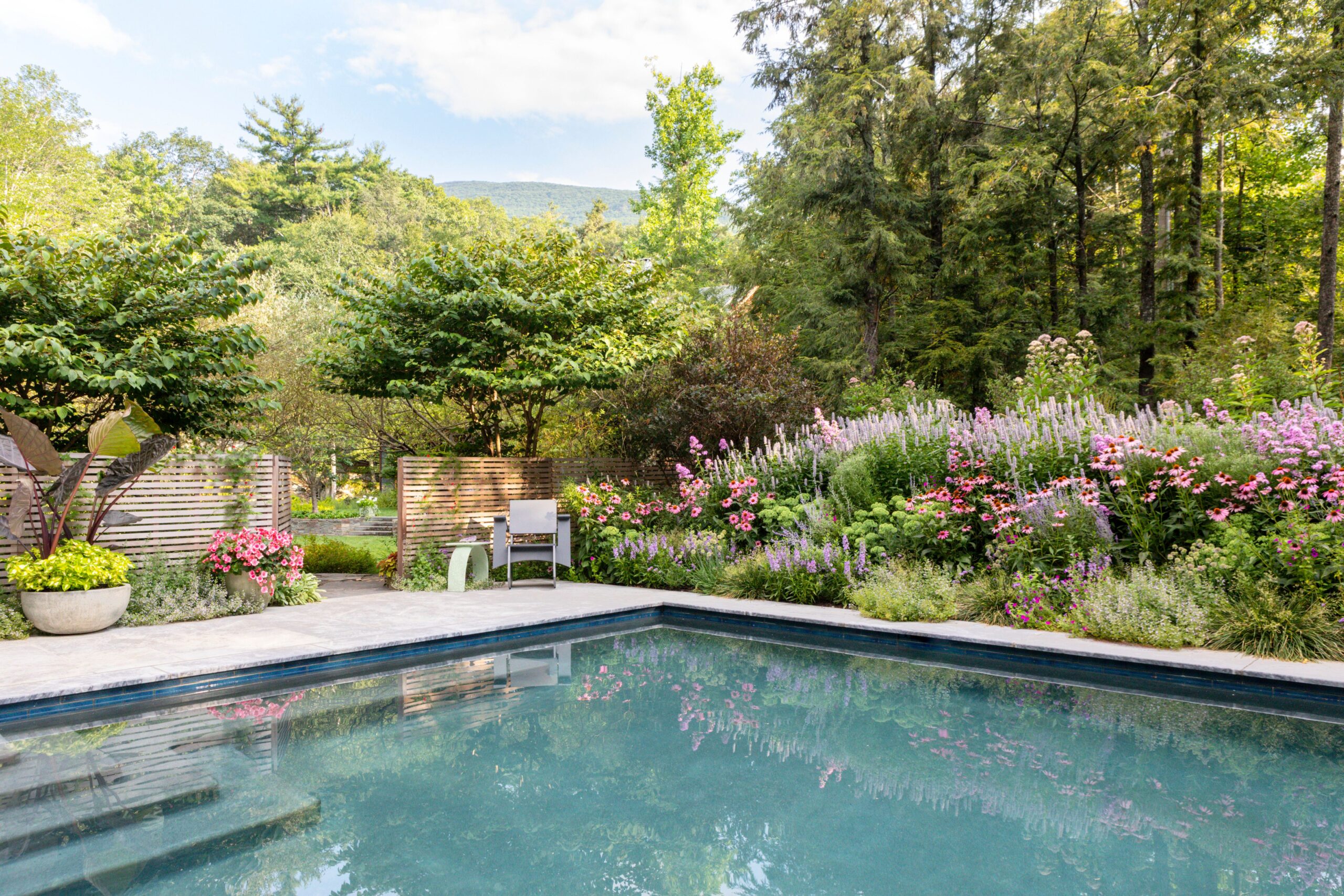 20 Beautiful Pool Landscaping Ideas for Creating a Relaxing Oasis