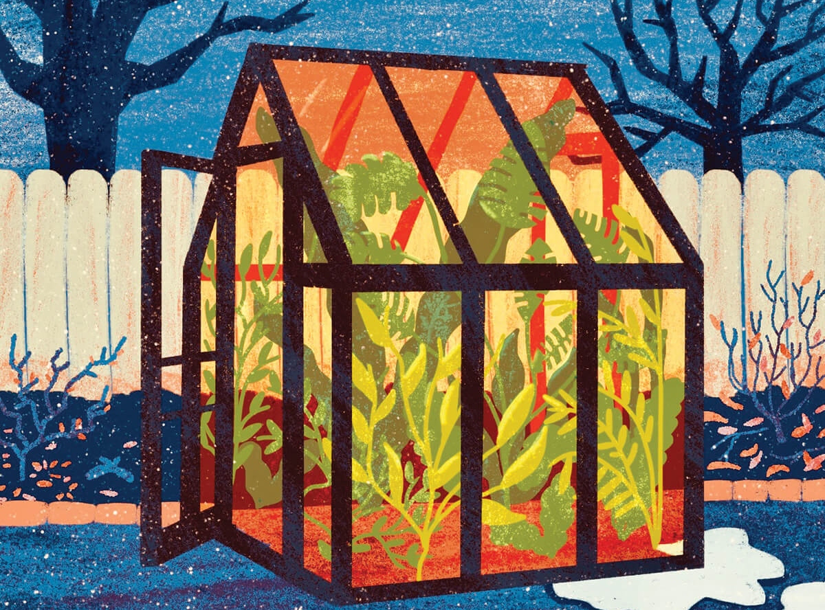 A Guide to Growing Plants and Produce in an At-Home Greenhouse