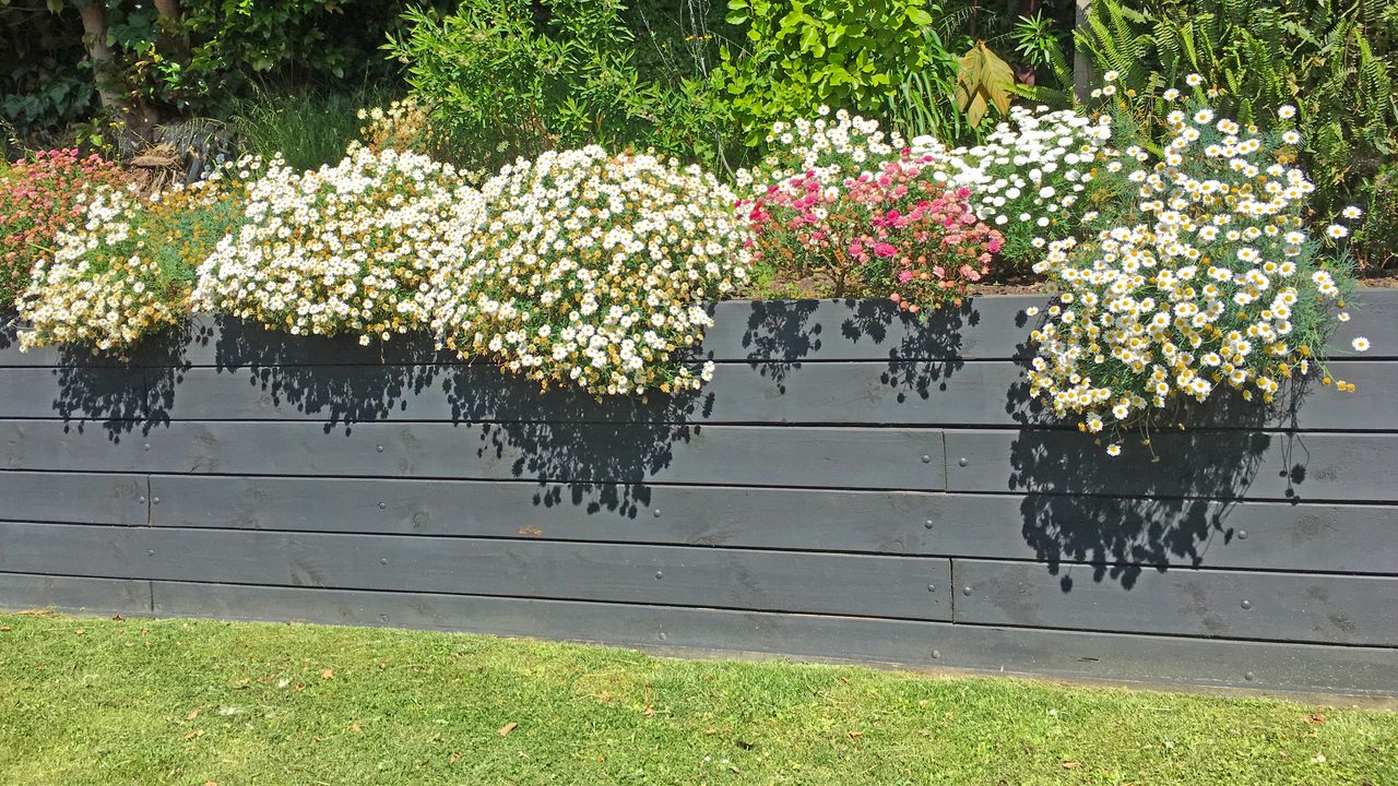 61 Retaining Wall Ideas That Will Elevate Your Landscaping