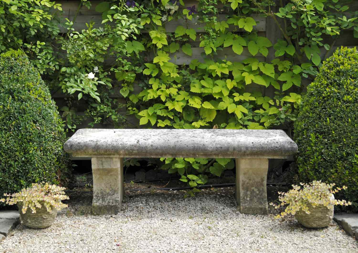 10 Garden Bench Ideas for a Serene Outdoor Space