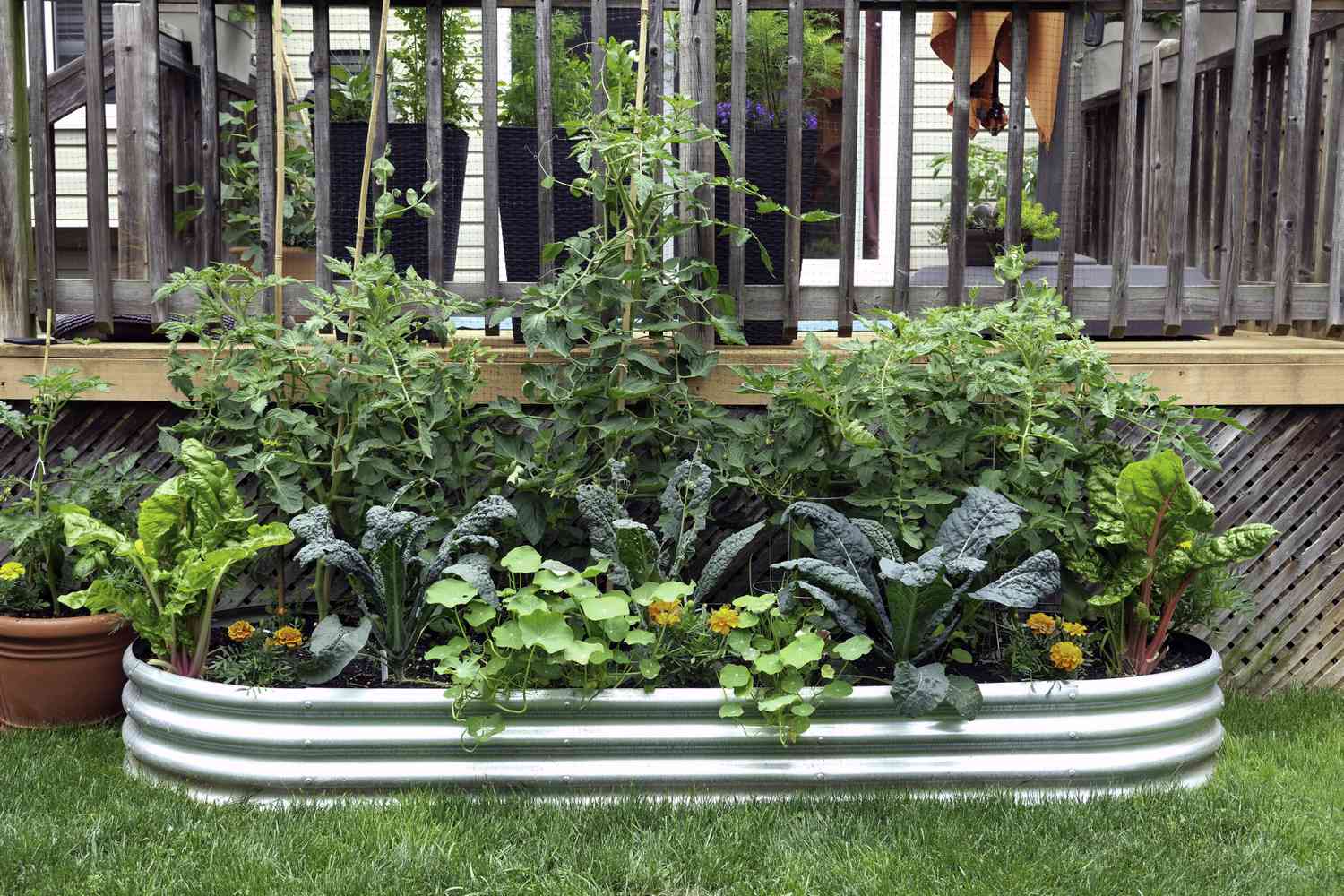 12 Fast-Growing Vegetables