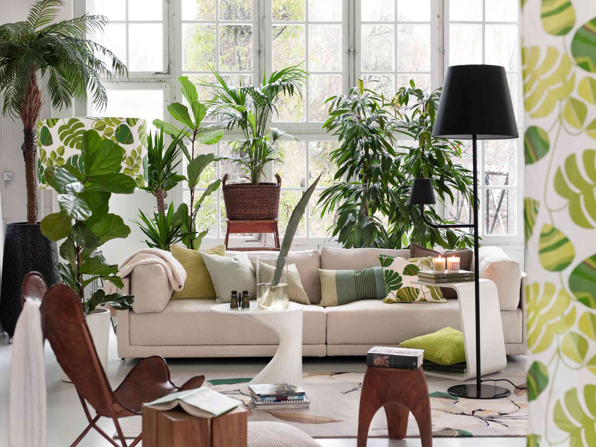 15 Plant Room Ideas for a Lush, Leafy Oasis
