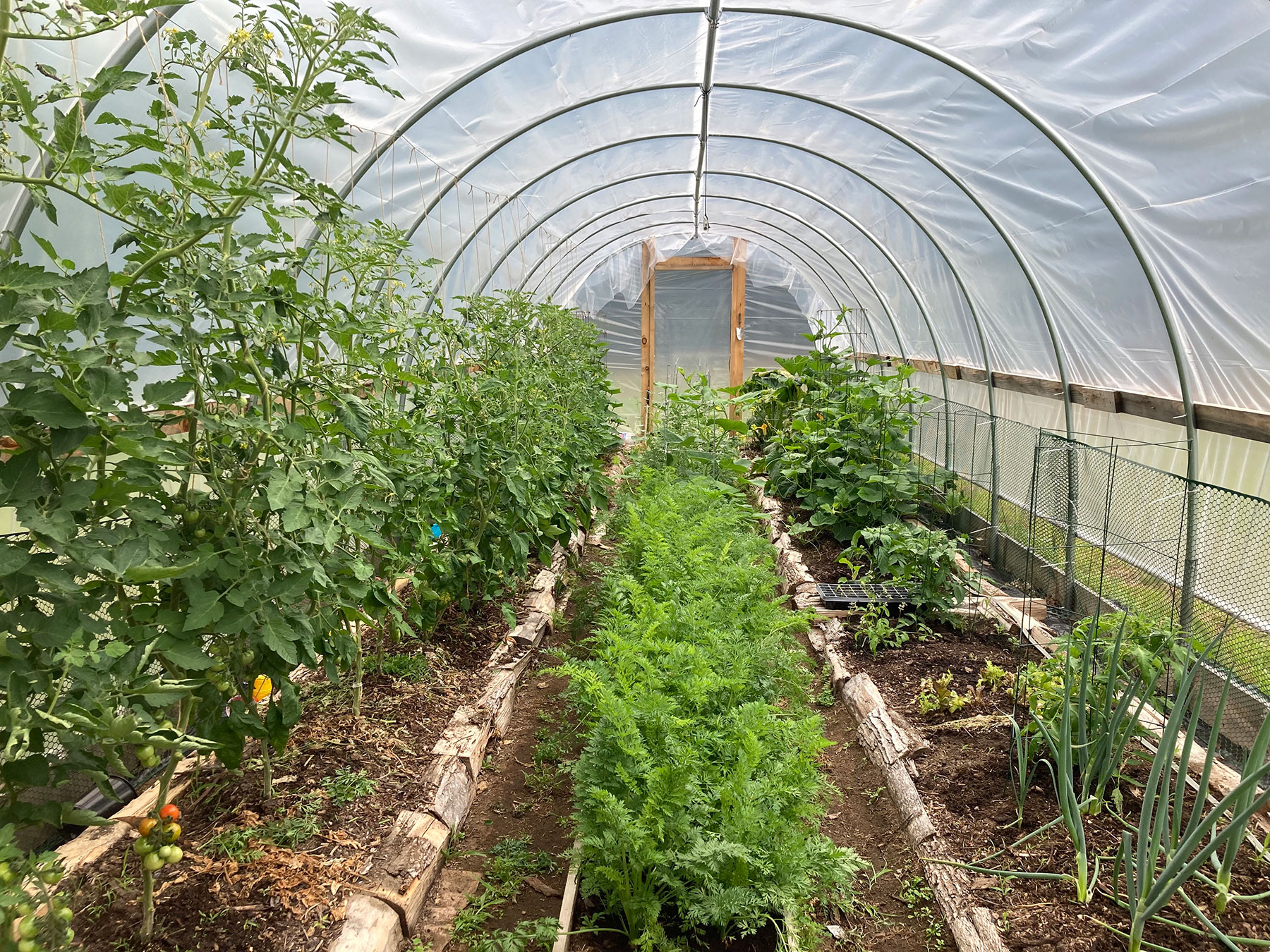 What is a hoop house and how do I get one?