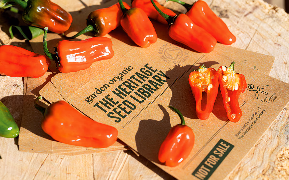 Heritage Vegetables to Grow | The English Garden