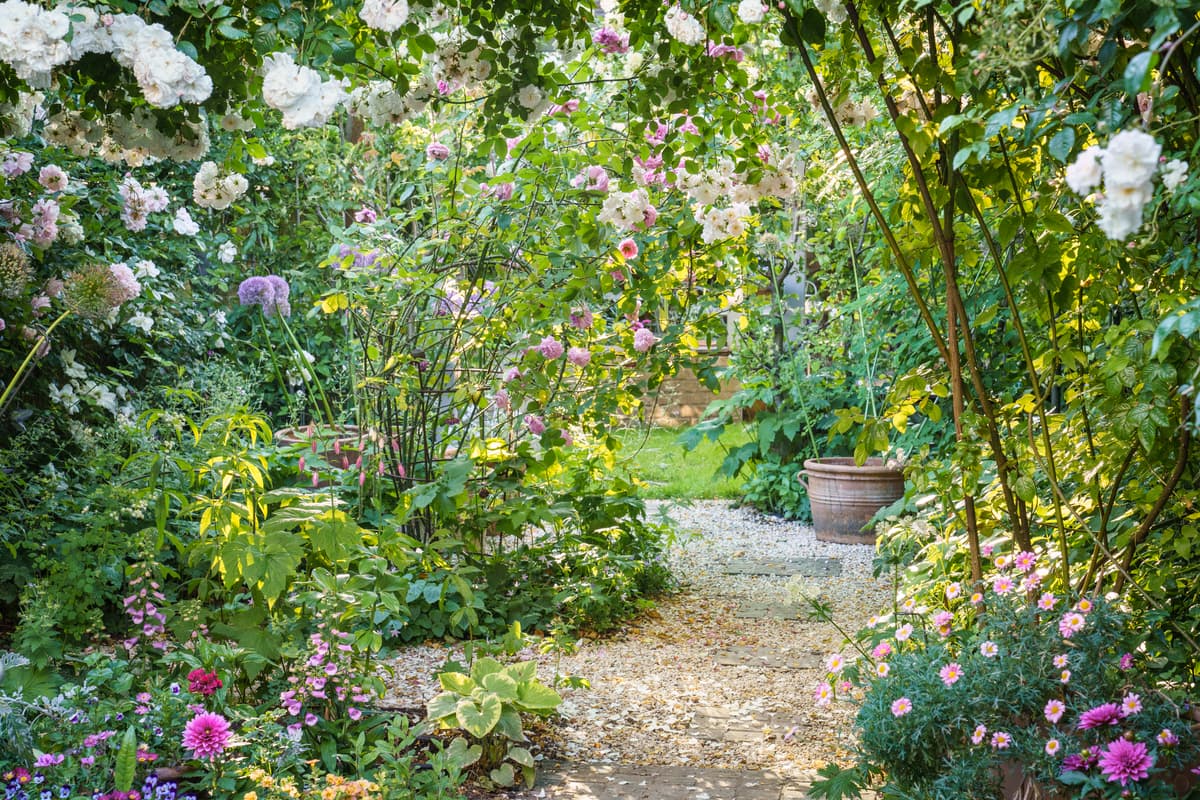 Cottage garden ideas that will work in even the smallest London plots