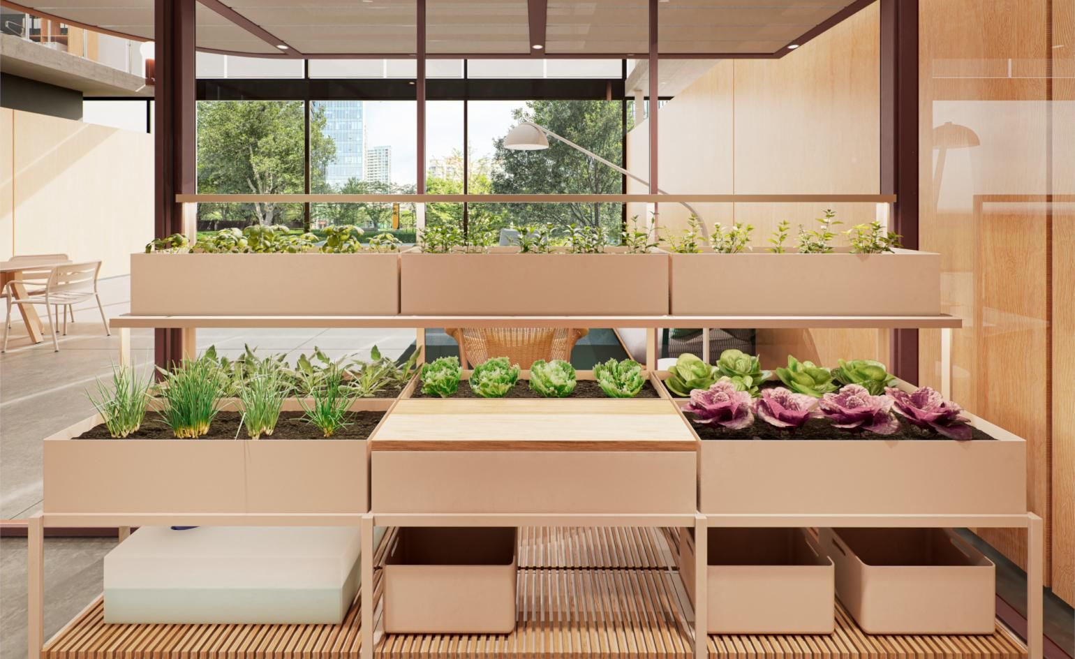 Kettal x Tectum hydroponic garden brings veg-growing indoors