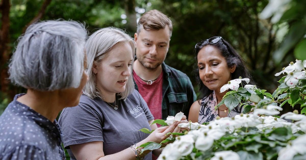 Gardening gifts with learning in mind – The Irish News