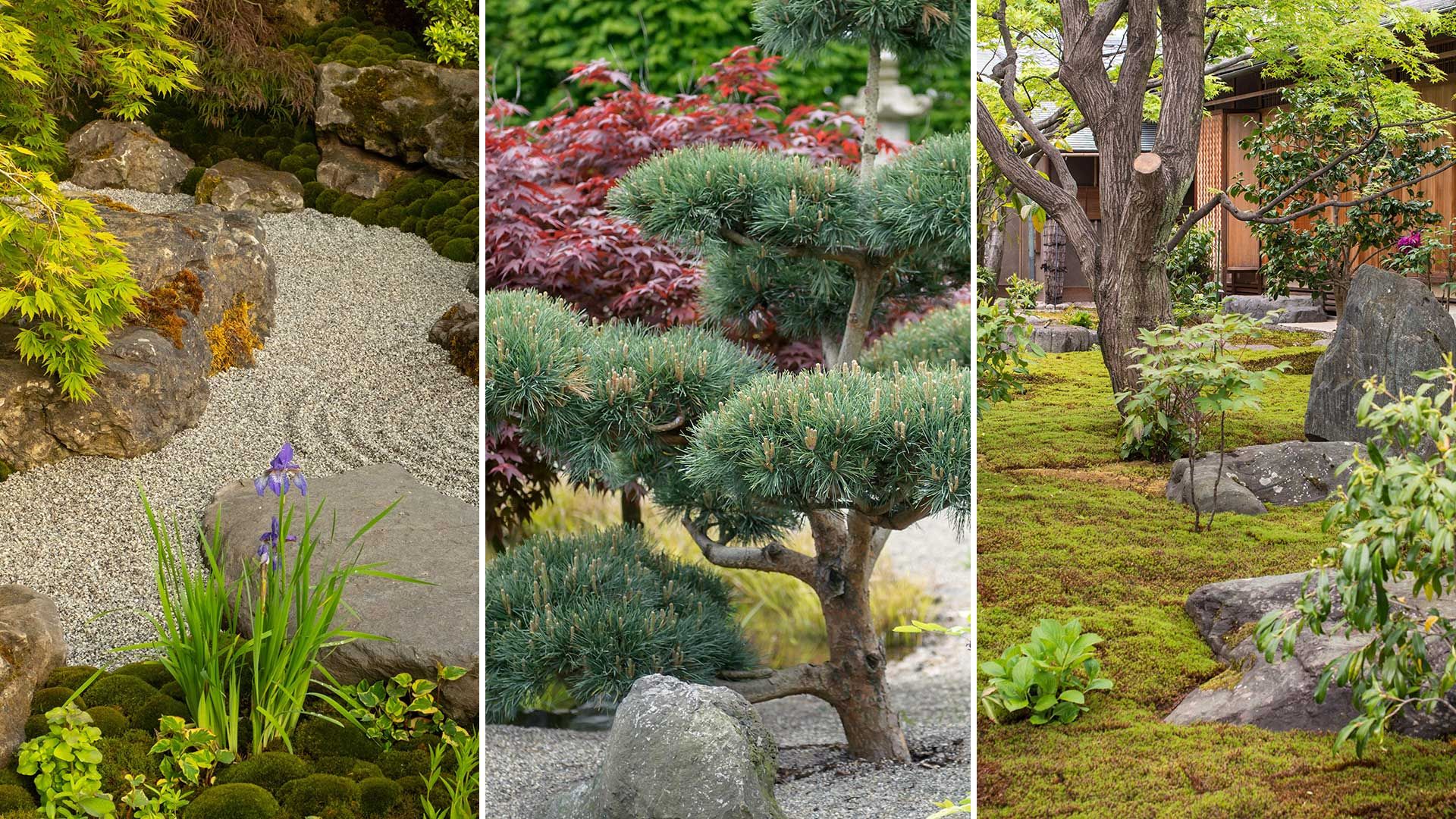 Japanese garden ideas: 10 ways to create a soothing space