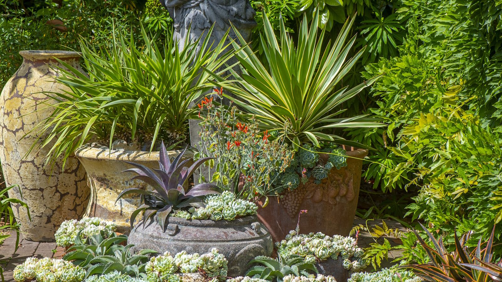 Container gardening for beginners – how to get the best pots