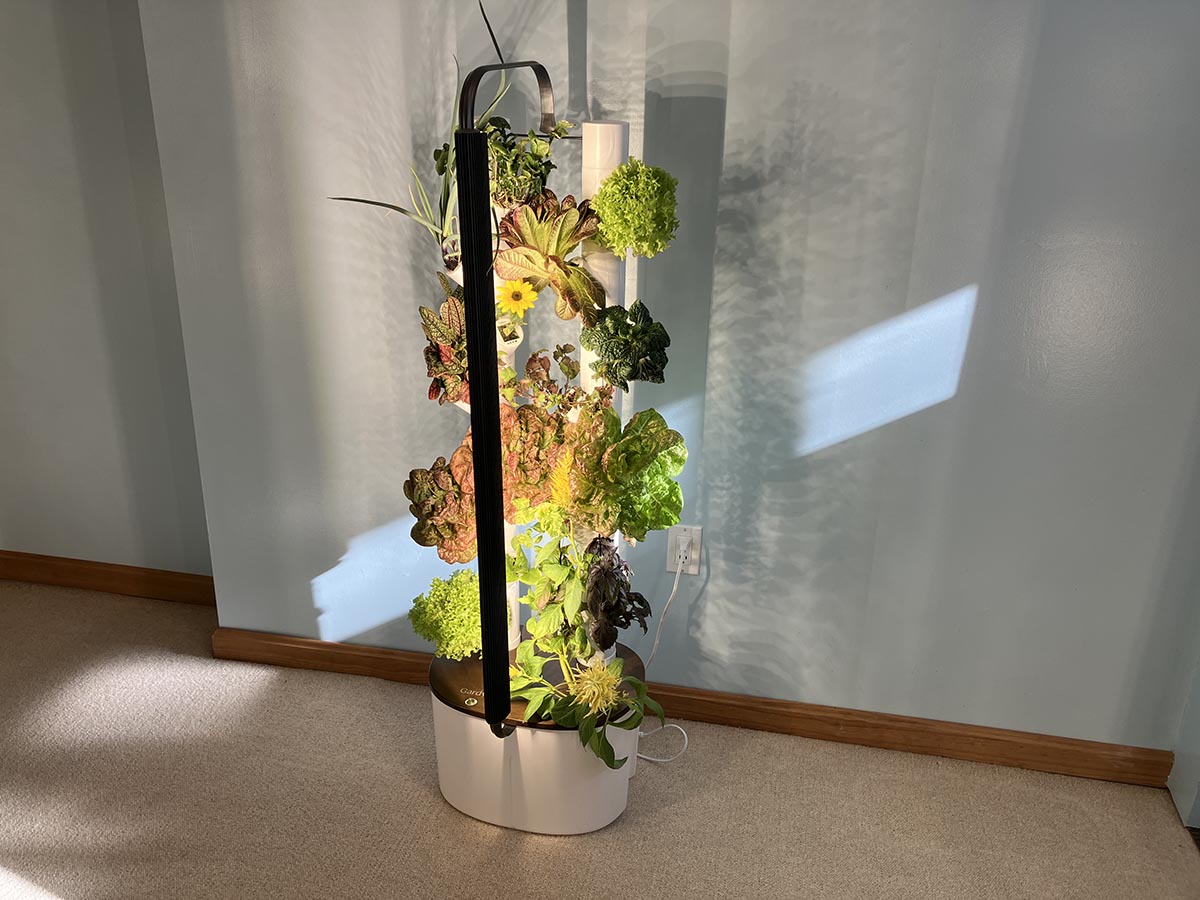 I Tested the Mini Gardyn System, The Results Were Amazing