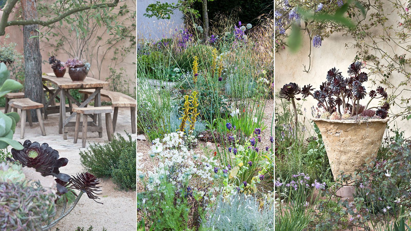 Drought-tolerant landscaping ideas: 8 sustainable solutions
