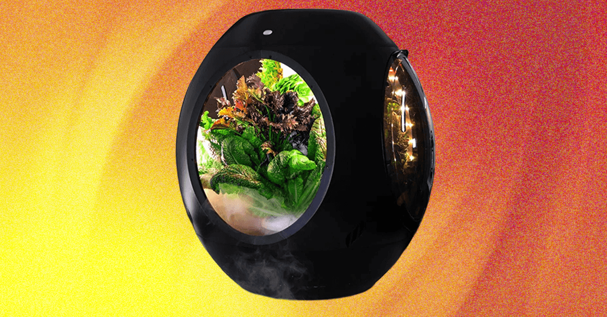 Plantaform Smart Indoor Garden Review: Rewarding but Risky