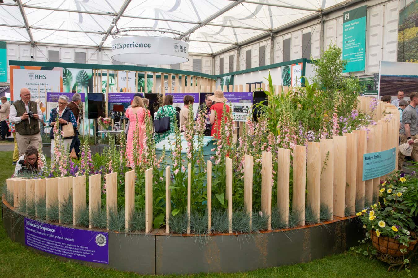 From Chelsea to the British Library, garden shows are blooming