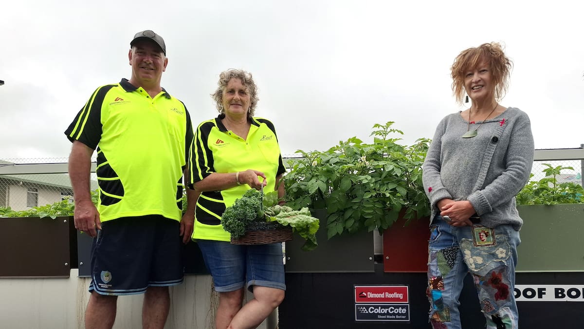 Kerikeri roofer turns work carpark into vegetable garden for community