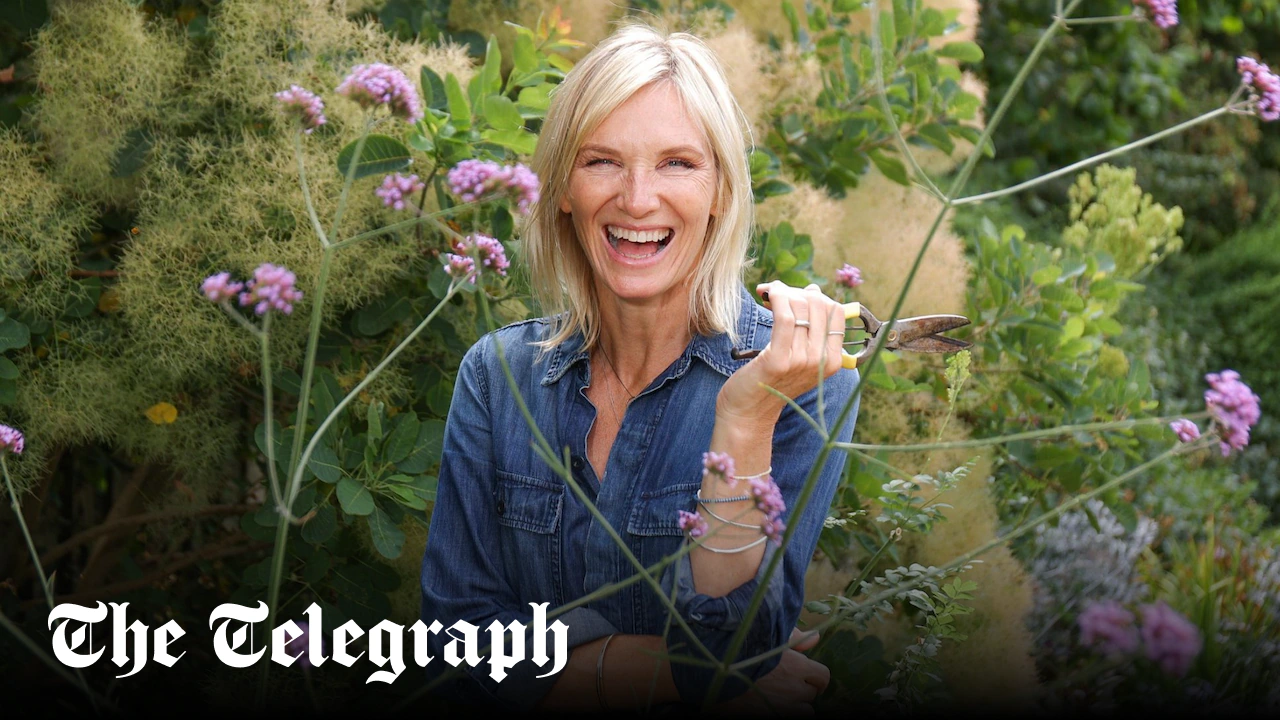 Jo Whiley: ‘I’ve given up on growing veg – you cannot beat the slugs’