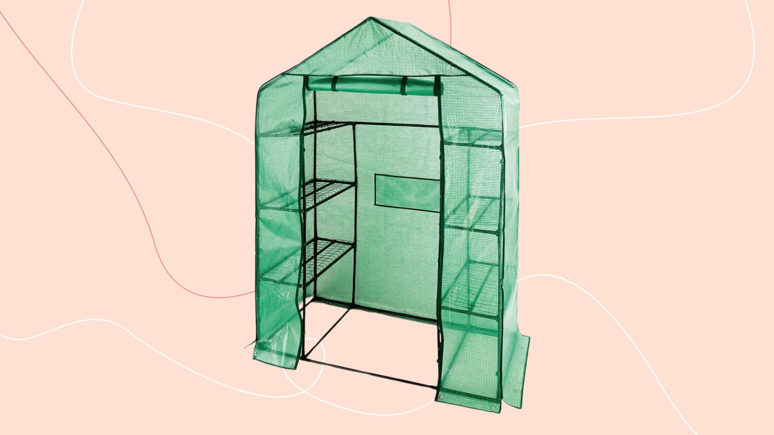 Aldi’s walk-in greenhouse is back on Sunday for under £30