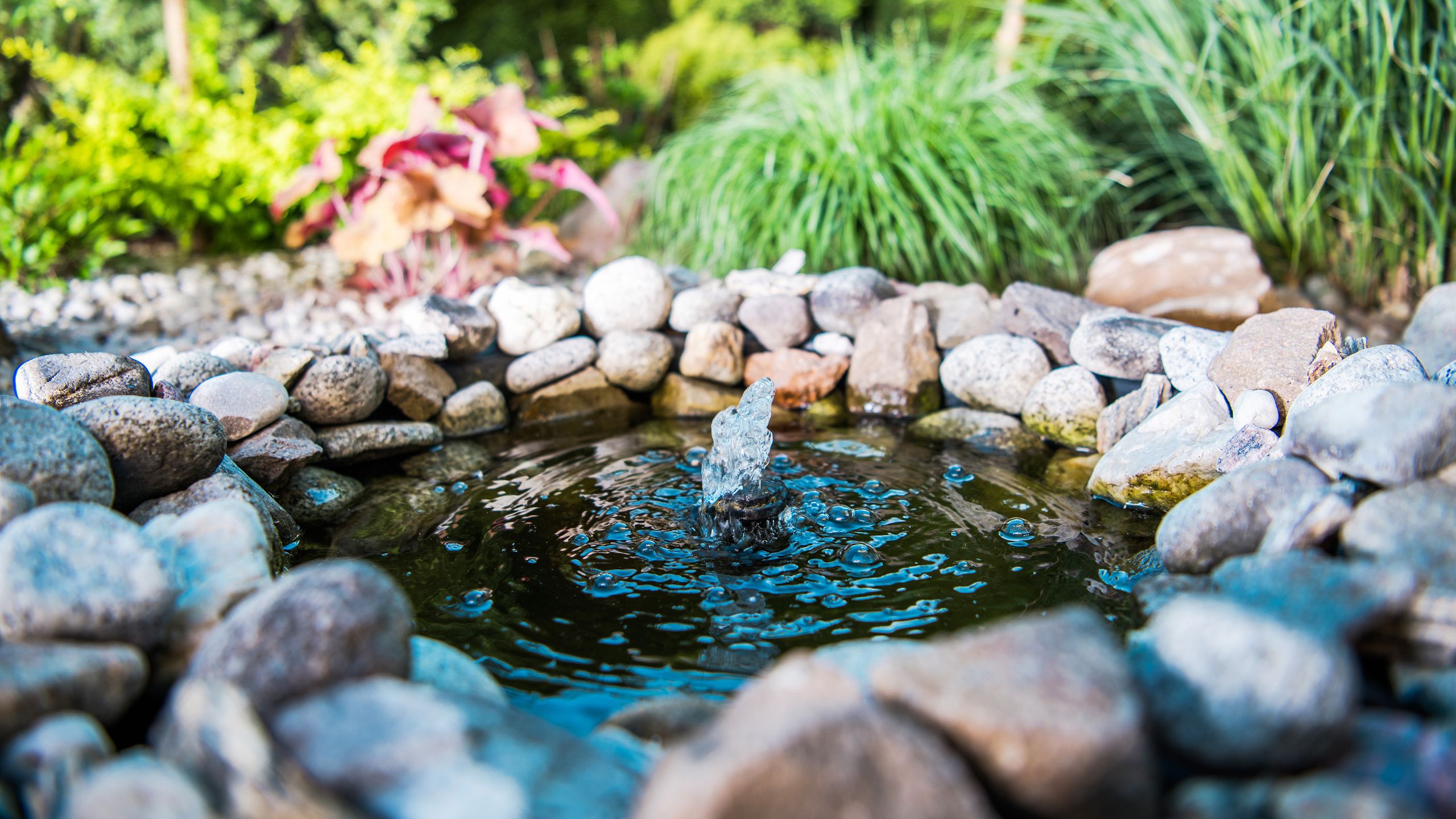 5 small garden pond ideas to welcome wildlife