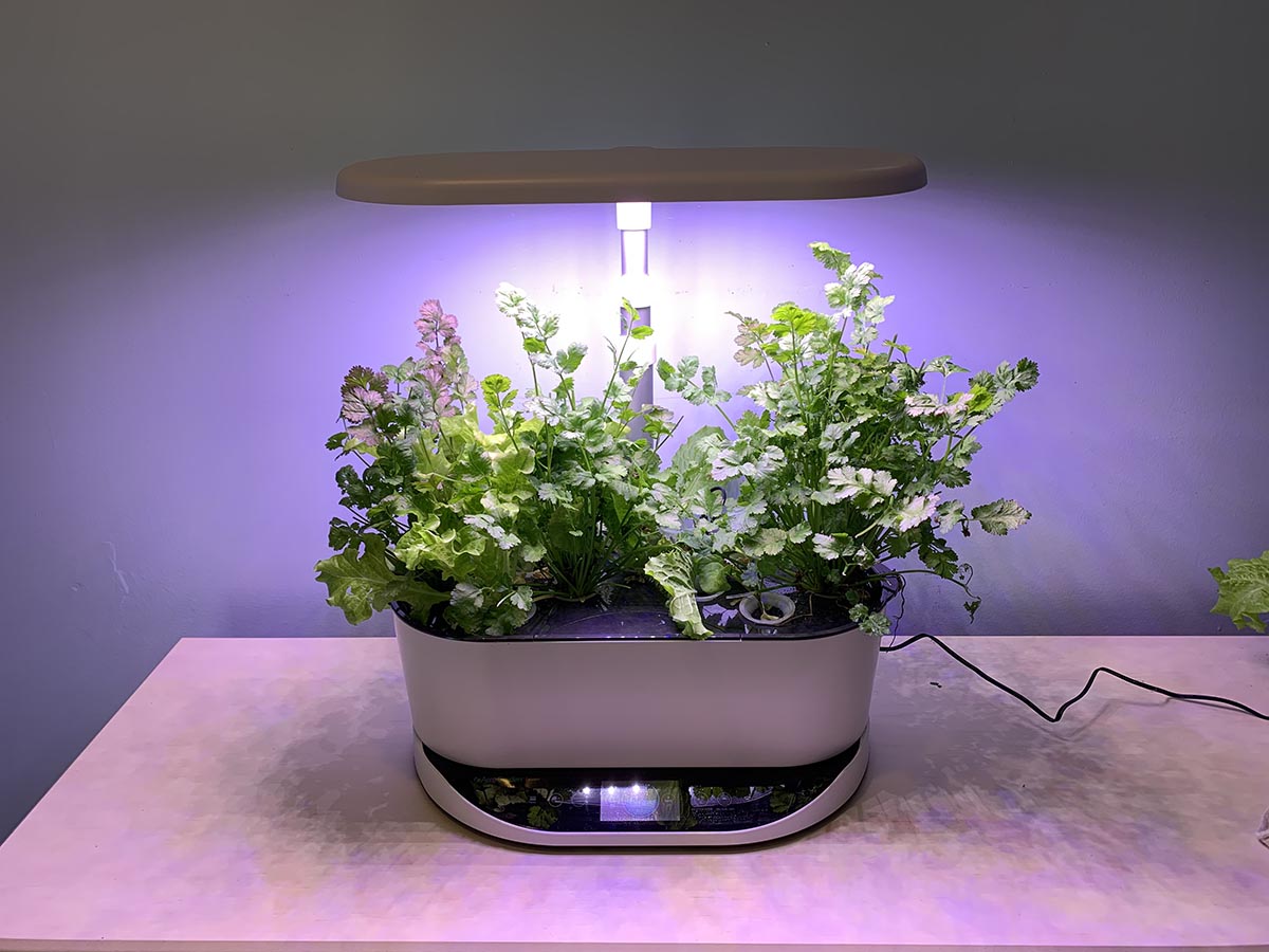 The Best Hydroponic Systems – Tested by Bob Vila