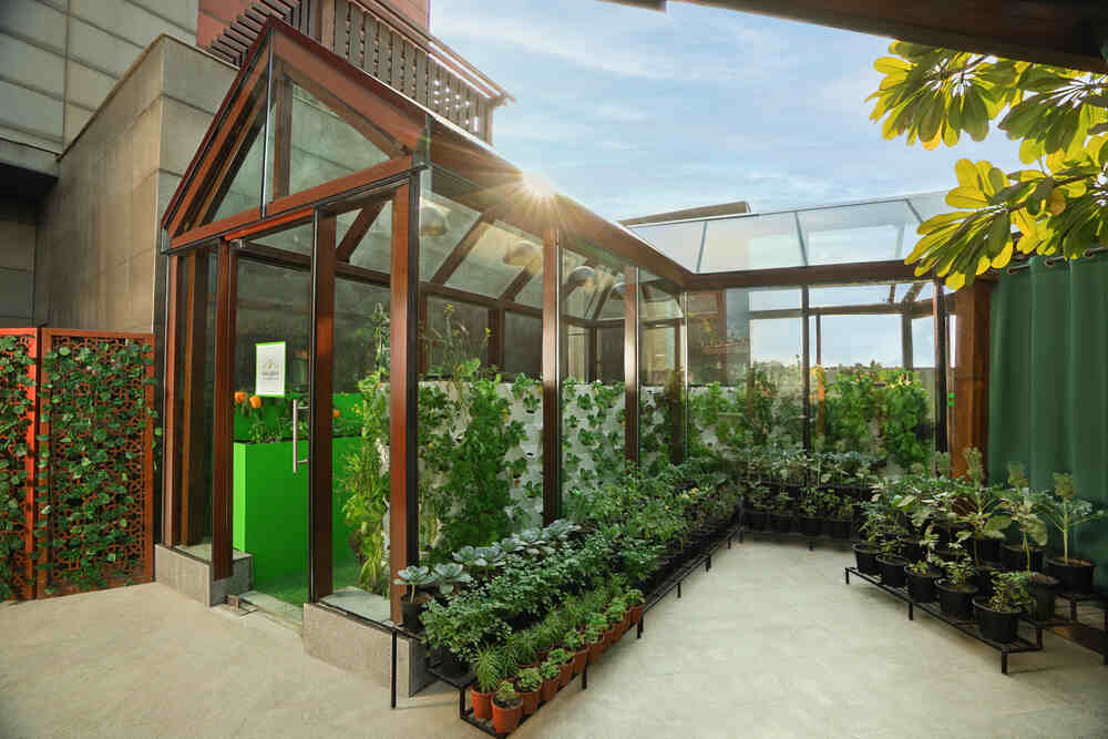 The Leela Ambience Gurugram in India Redefines Luxury with The Green House, an Innovative Hydroponic Garden Revolutionizing Sustainable Dining