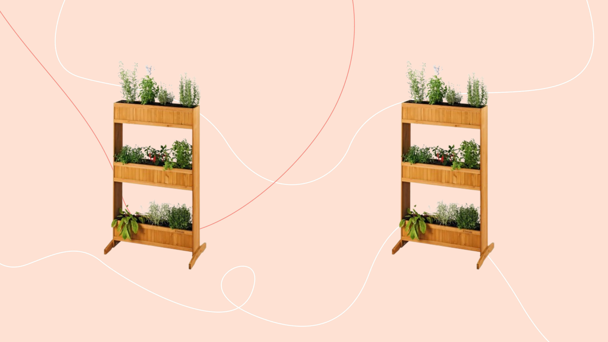 Lidl’s tiered planter unlocks planting space in tiny gardens