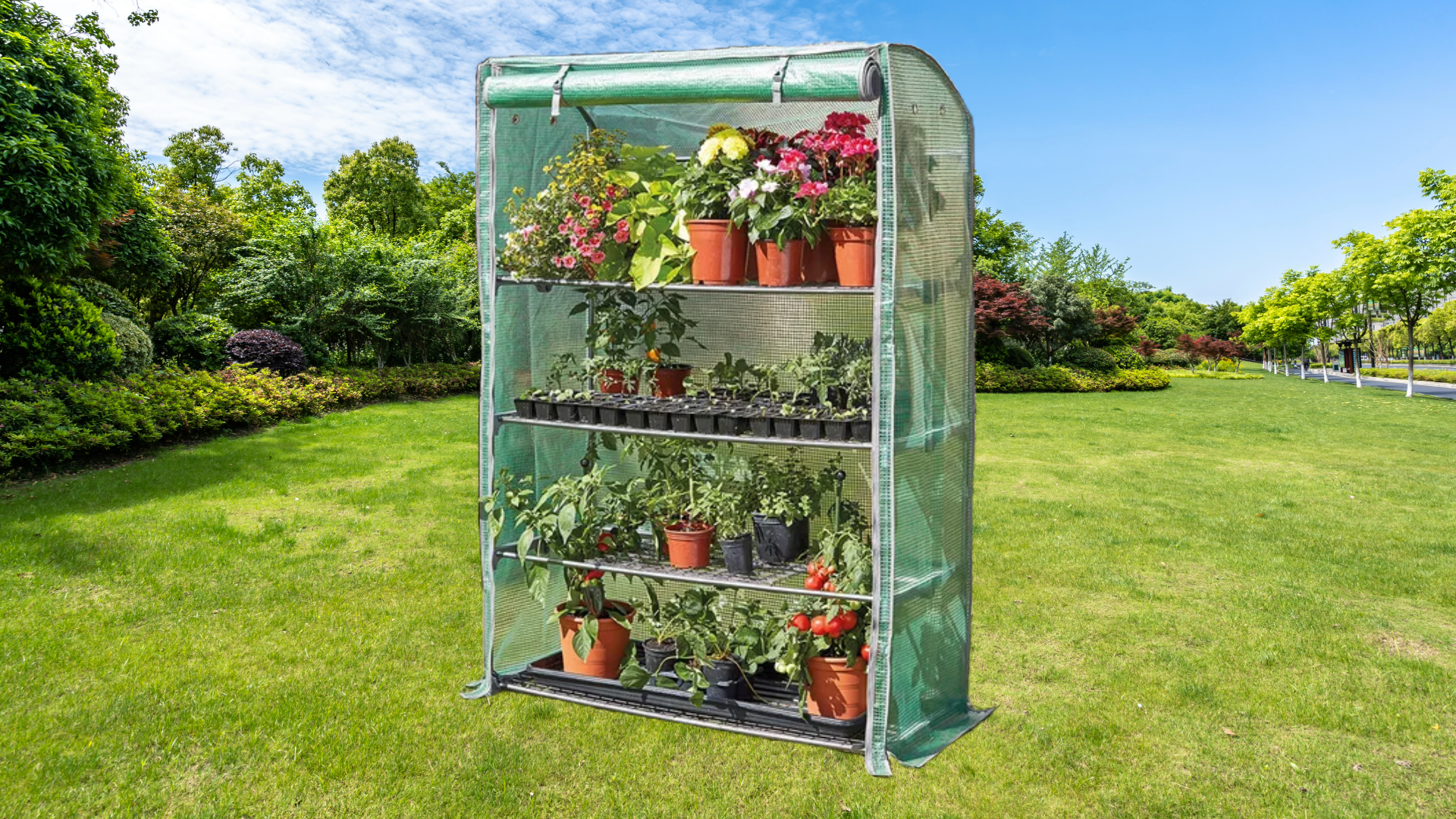 Gardeners rush to buy “Tardis” greenhouse slashed from £60 to £40 at Robert Dyas
