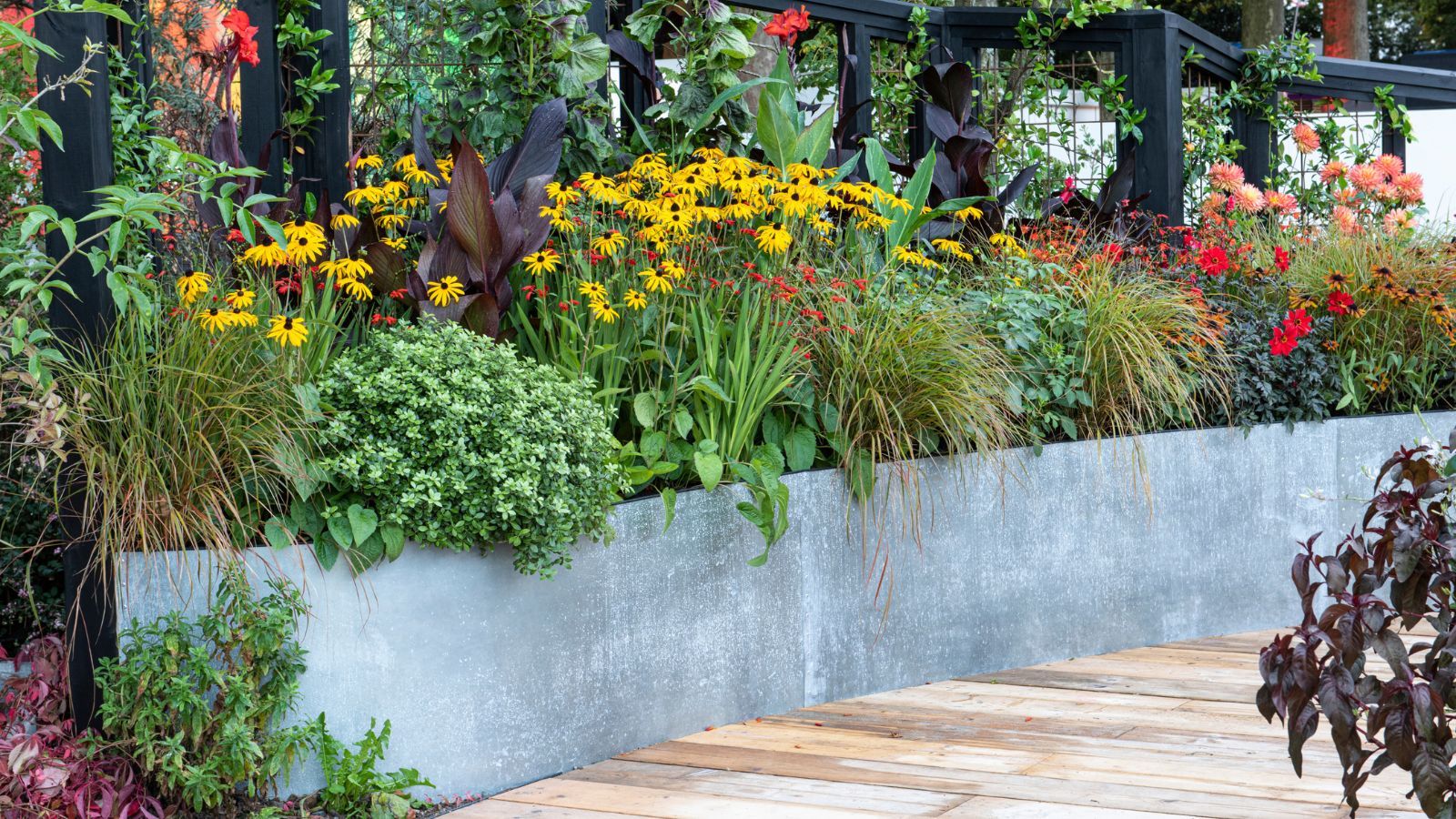 ALDI’s $15 raised bed planter is even better than their last one