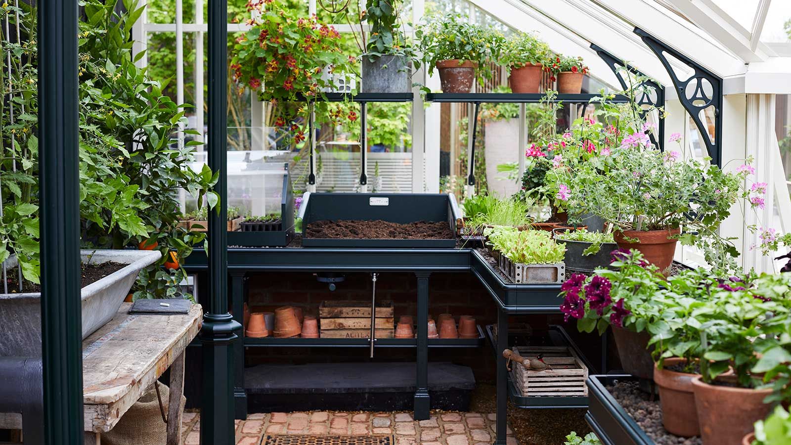How to kit out a greenhouse: experts share their top tips