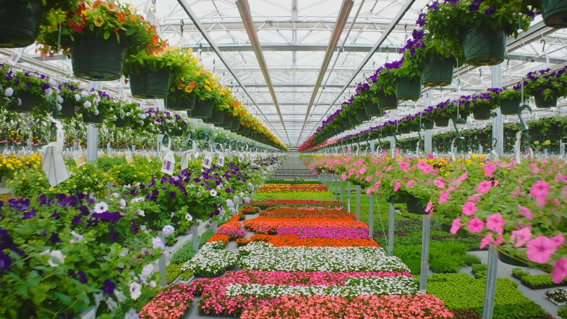 Estabrooks’ new gigantic greenhouse | Gardening with Gutner