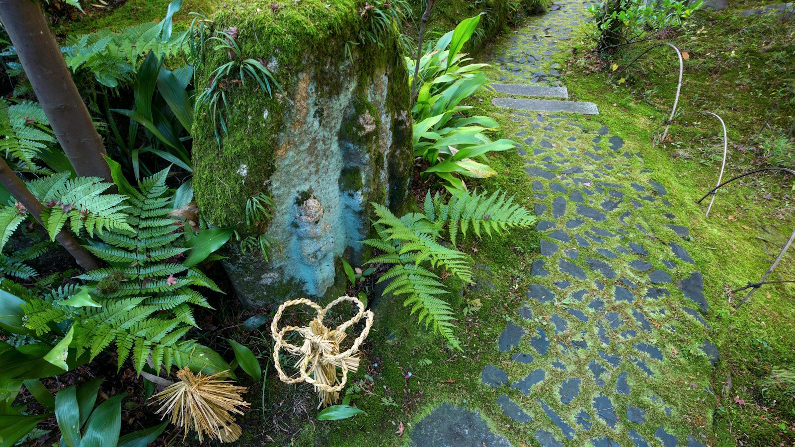Fairy garden ideas: add a little magic to your backyard