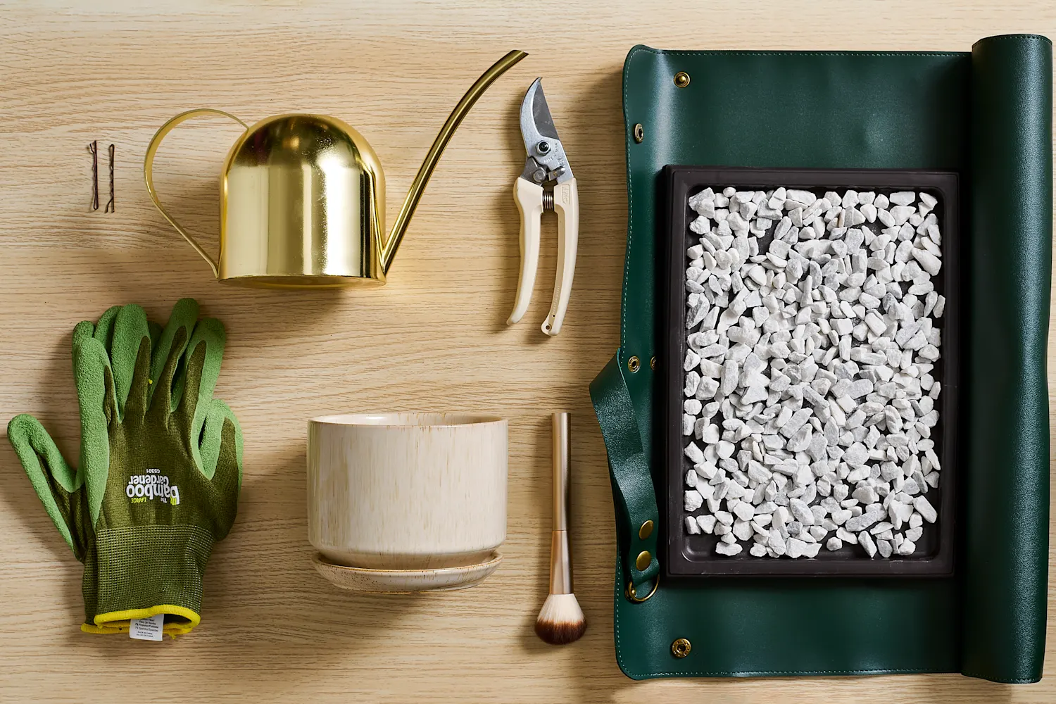 5 Best Indoor Gardening Tools for Beginners (Plus 3 Bonus Picks)