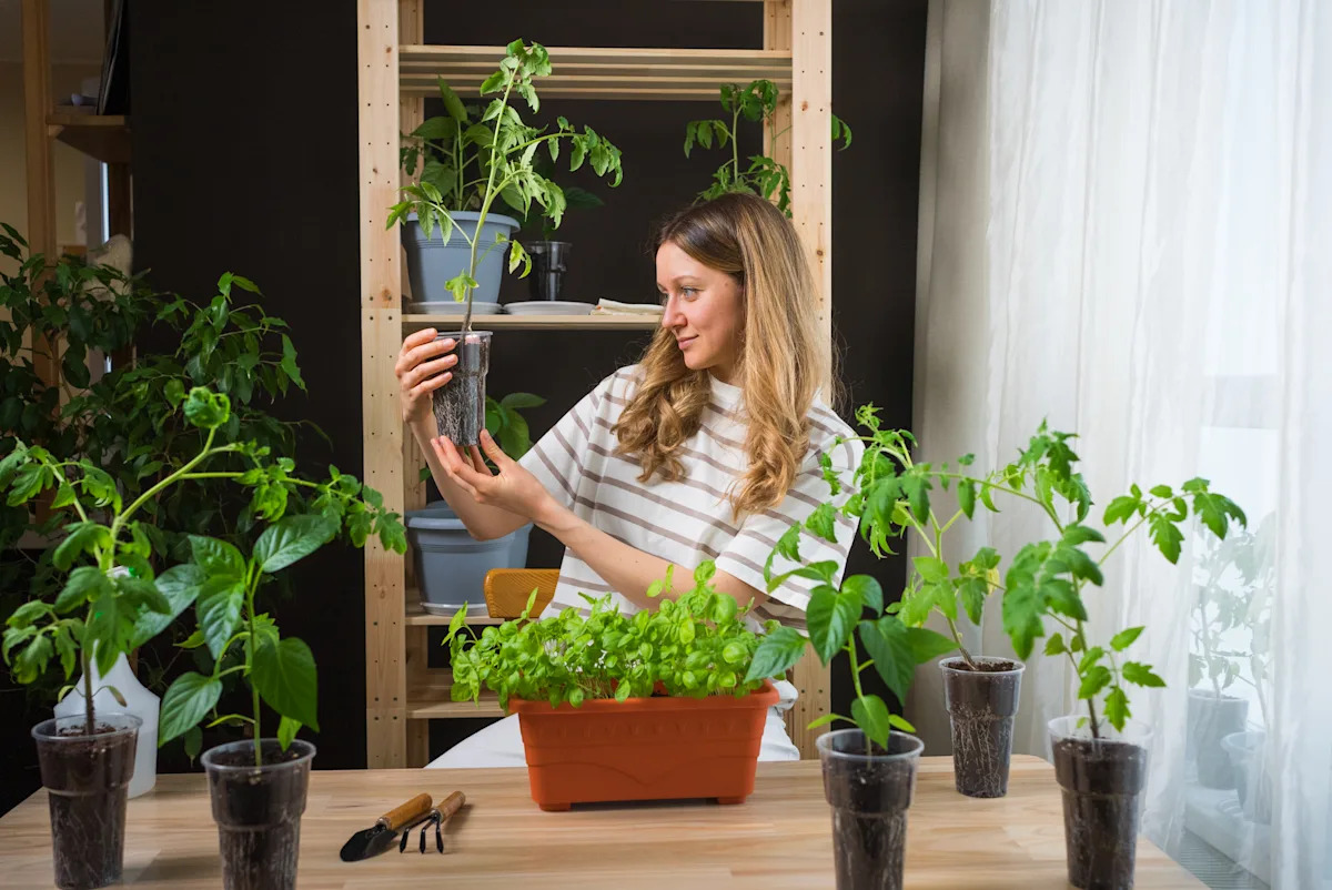 Why more Americans are growing food indoors and how to start