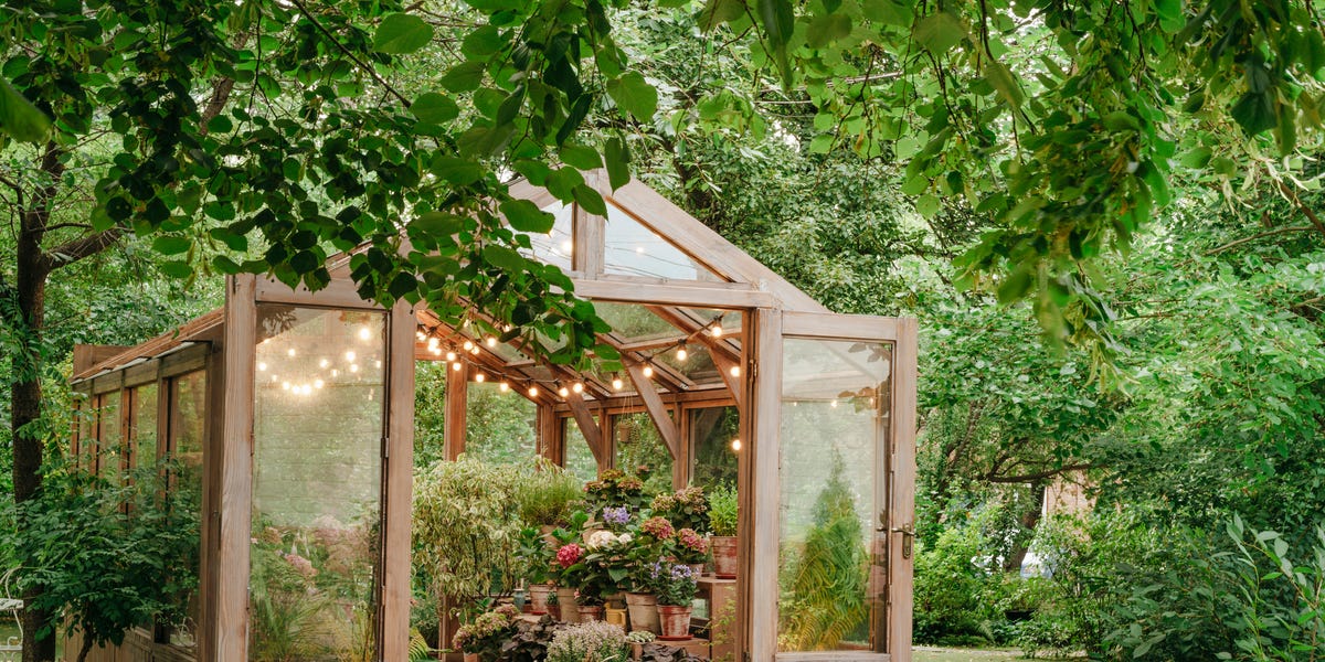 12 Best Greenhouse Ideas 2025
