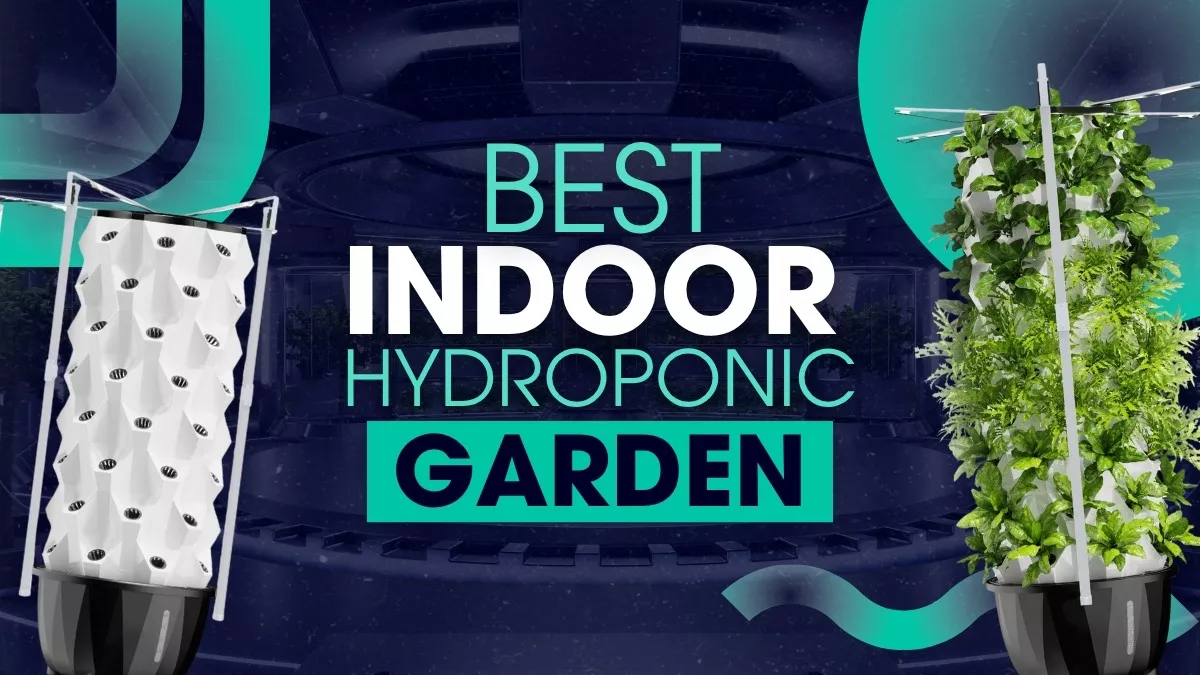 Best Indoor Hydroponic Garden of 2025 for GrowingHerbs and Vegetables