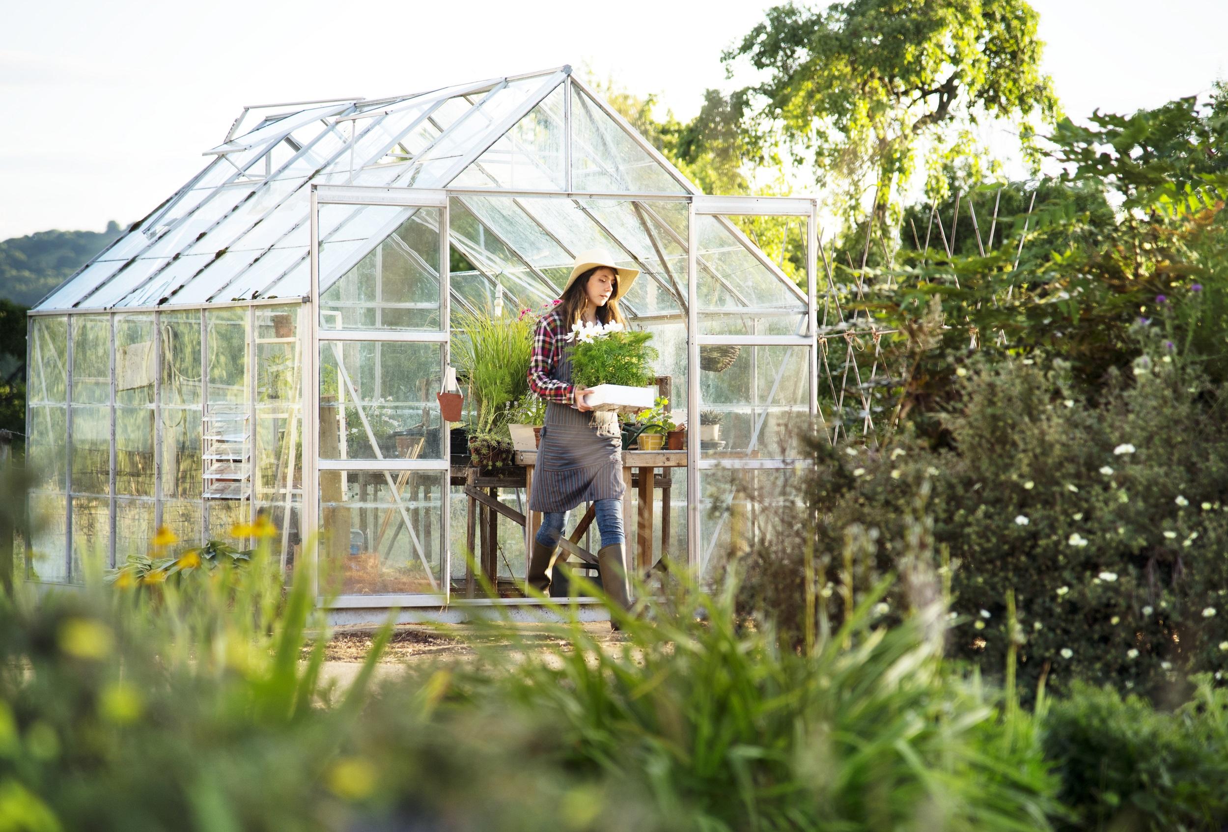 Best greenhouse: Our favourite greenhouses to help your plants flourish
