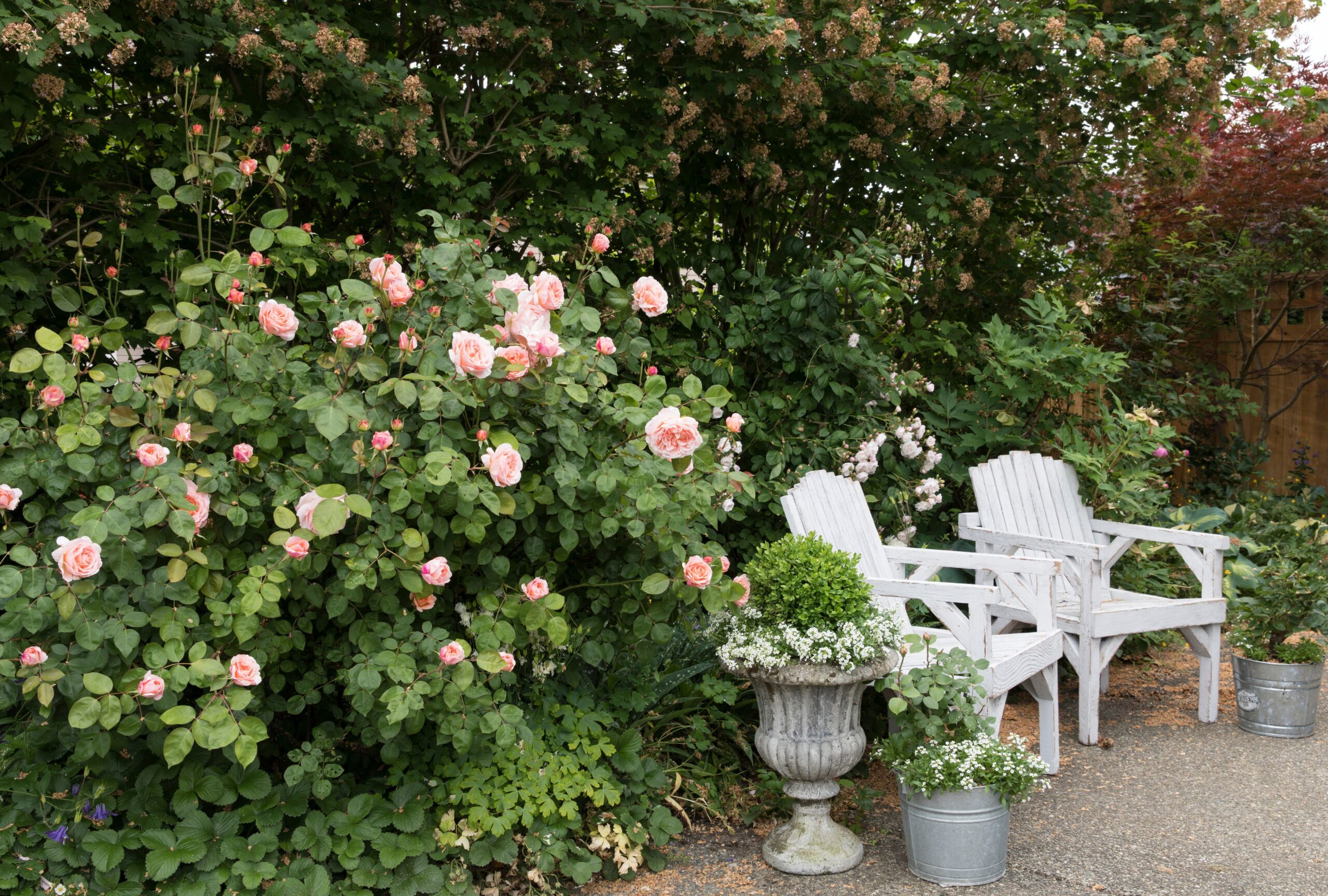 8 Cottage Garden Ideas to Create a Flower-Filled Landscape