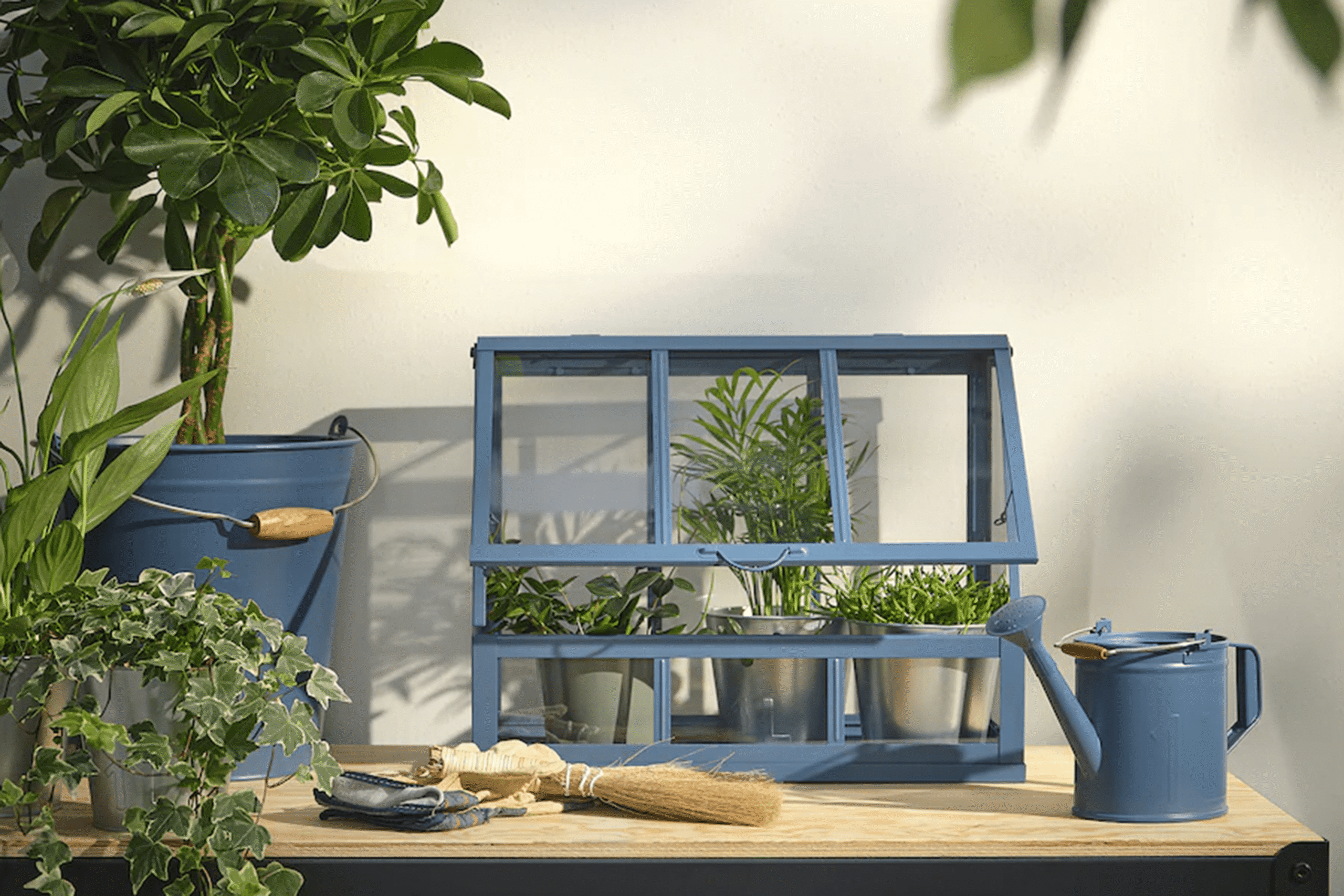 IKEA’s New Mini Greenhouse Is the Cutest Space-Savvy Plant Paradise