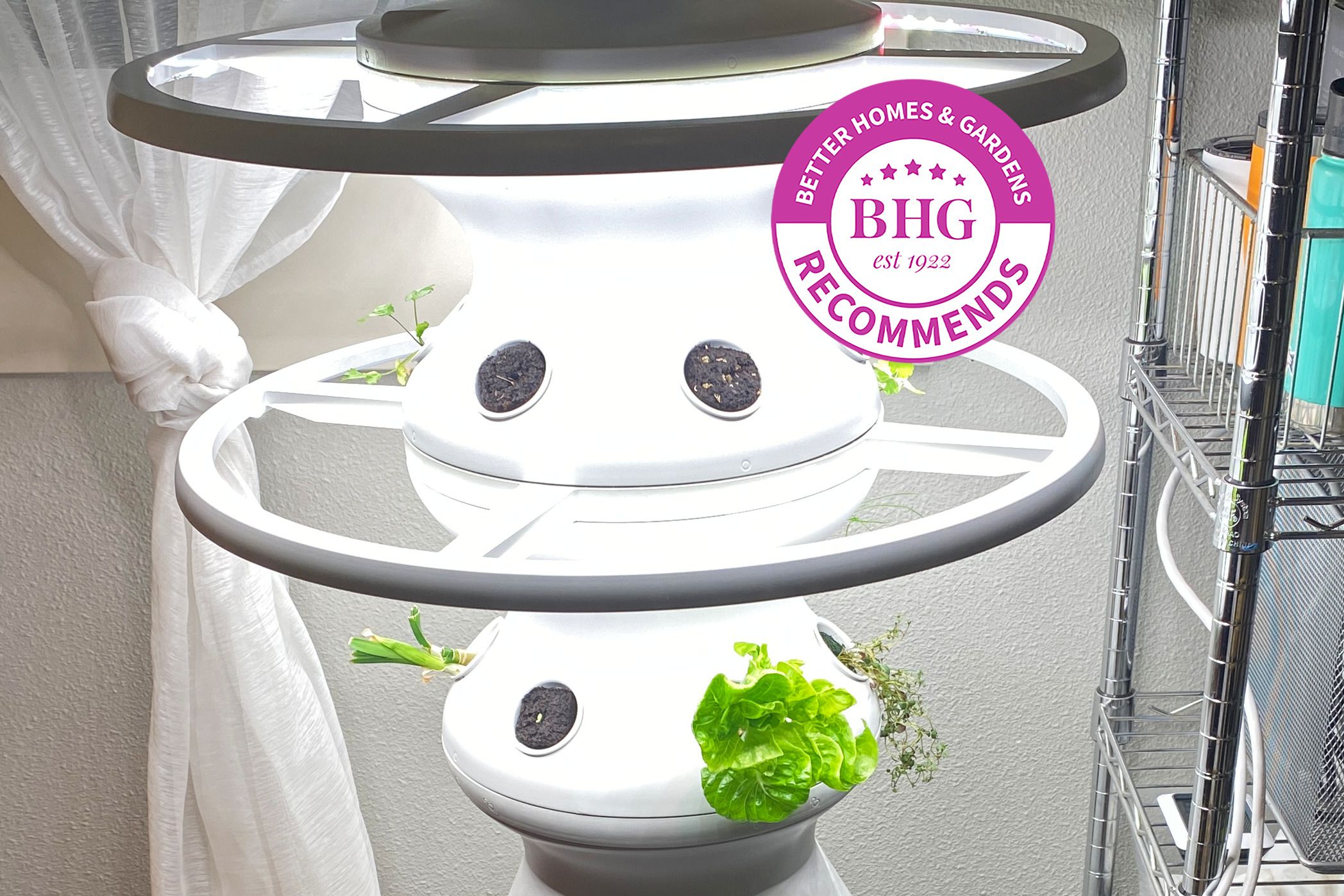 The 6 Best Indoor Garden Systems, Tested by BHG
