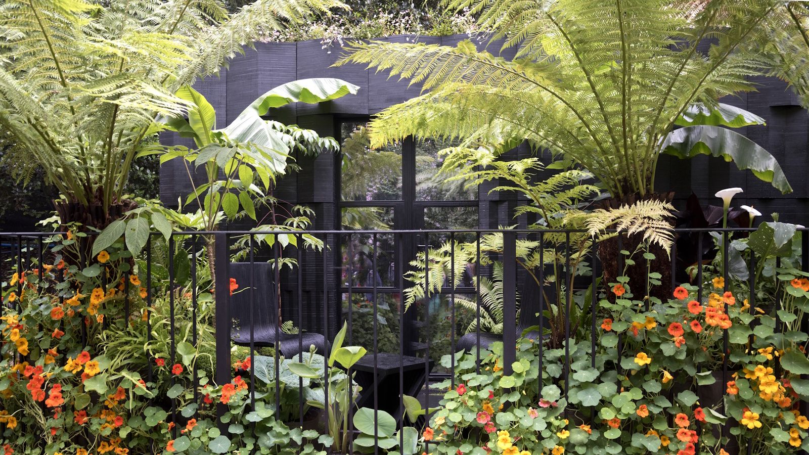 How to create an urban oasis in a city courtyard: expert advice
