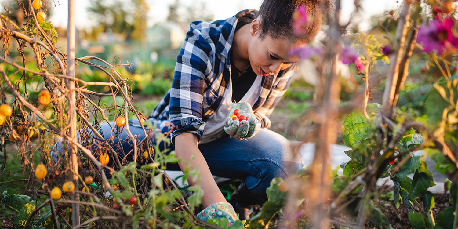 Must-have garden tools for beginners