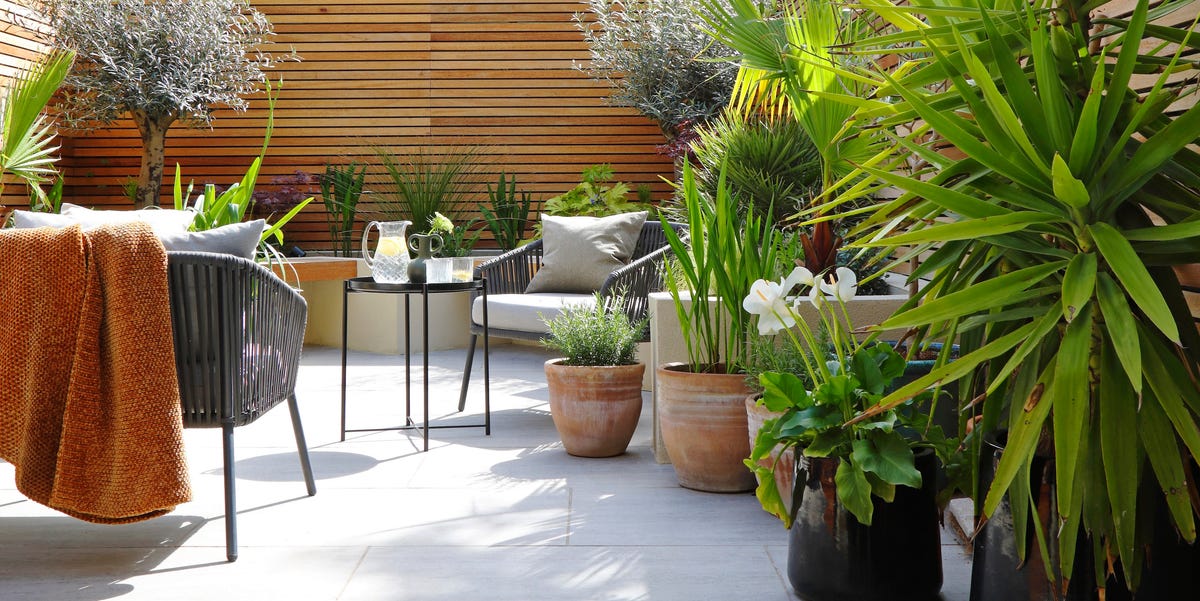 Mediterranean Touches Transform A London Garden