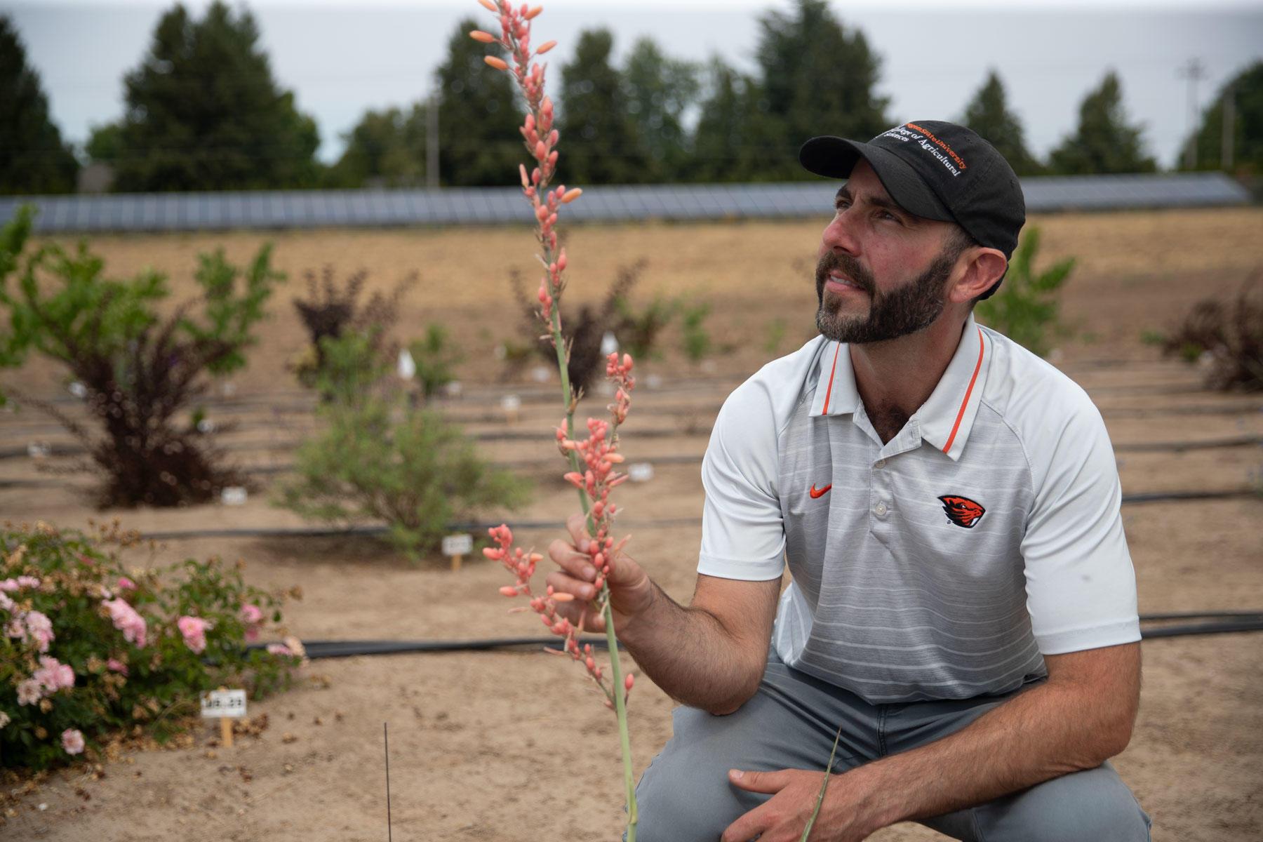 OSU trials identify climate-ready landscape plants