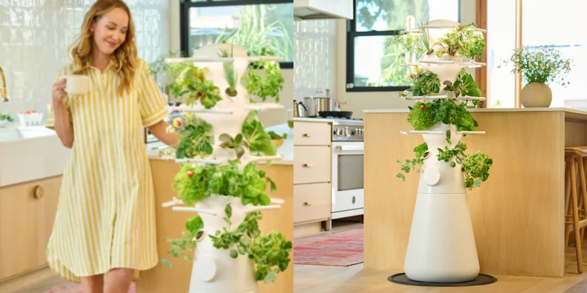 I Couldn’t Grow Anything Until I Used This Hydroponic Garden
