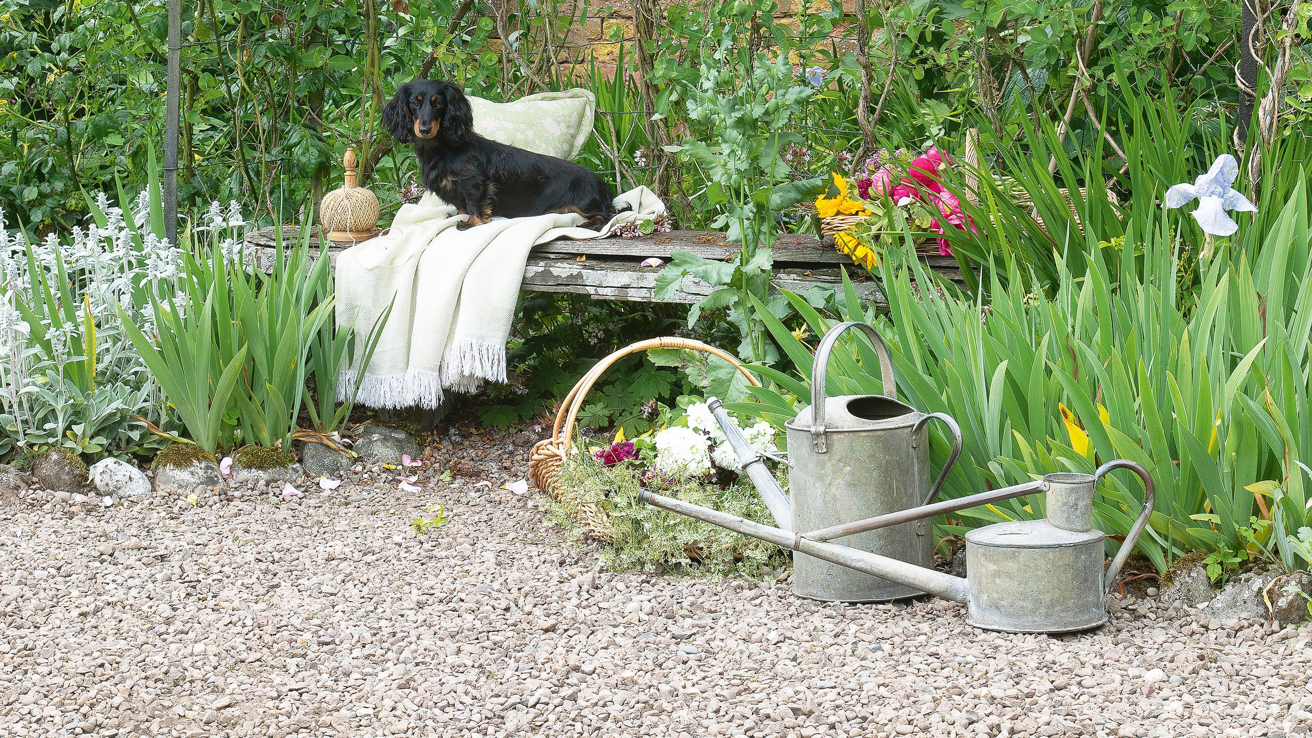 10 Gravel garden ideas for an easy, low-maintenance style