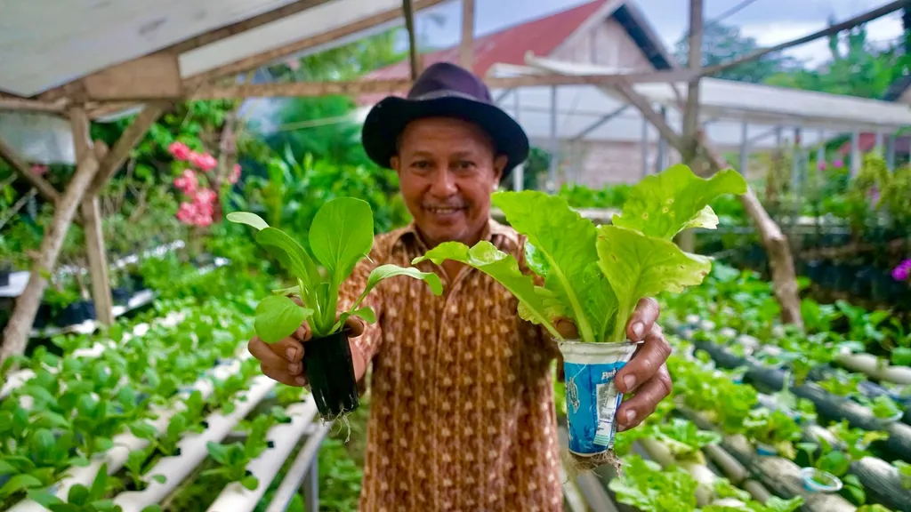 Jamadu, from the Street to the Garden Urban Farming Learner