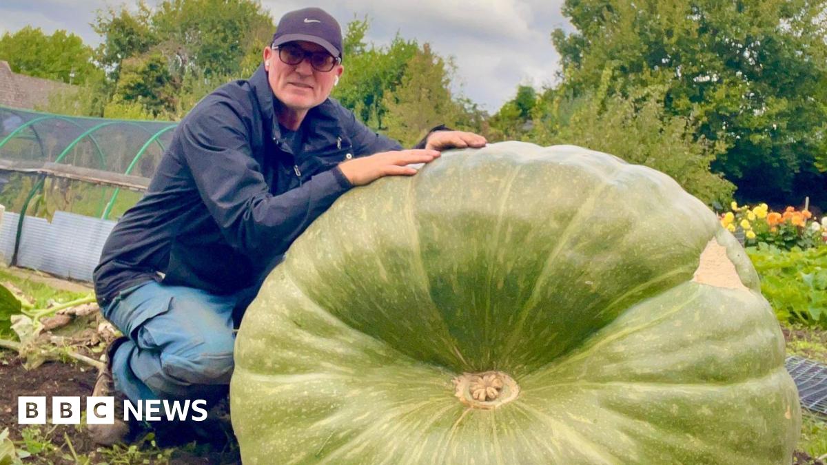 How Stourbridge man transported giant squash to Malvern vegetable show