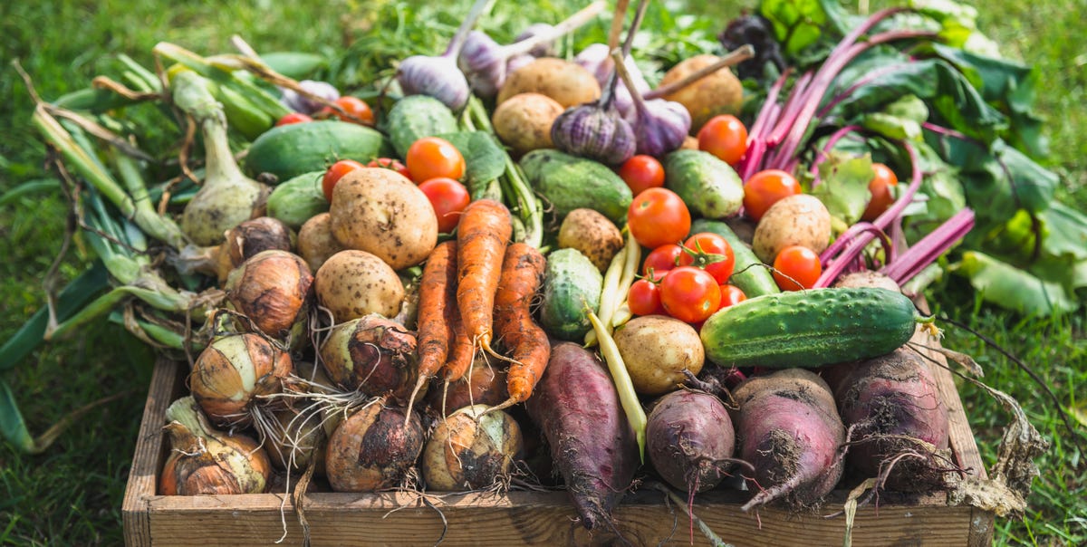 15 Easy Crops to Grow in Your Fall Vegetable Garden