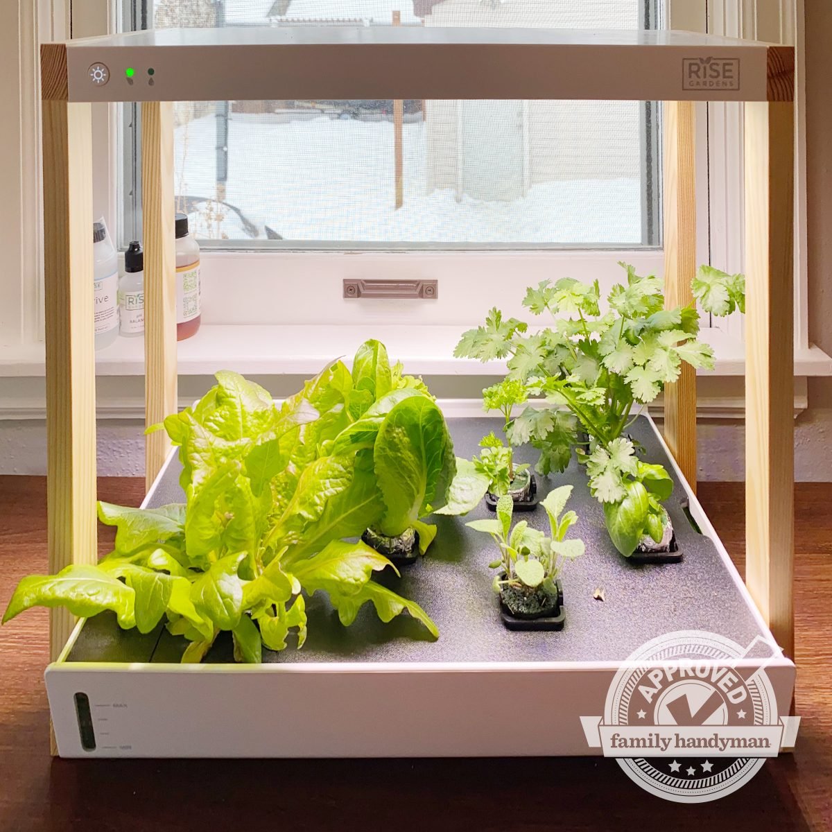 Personal Indoor Garden (We Approve!)