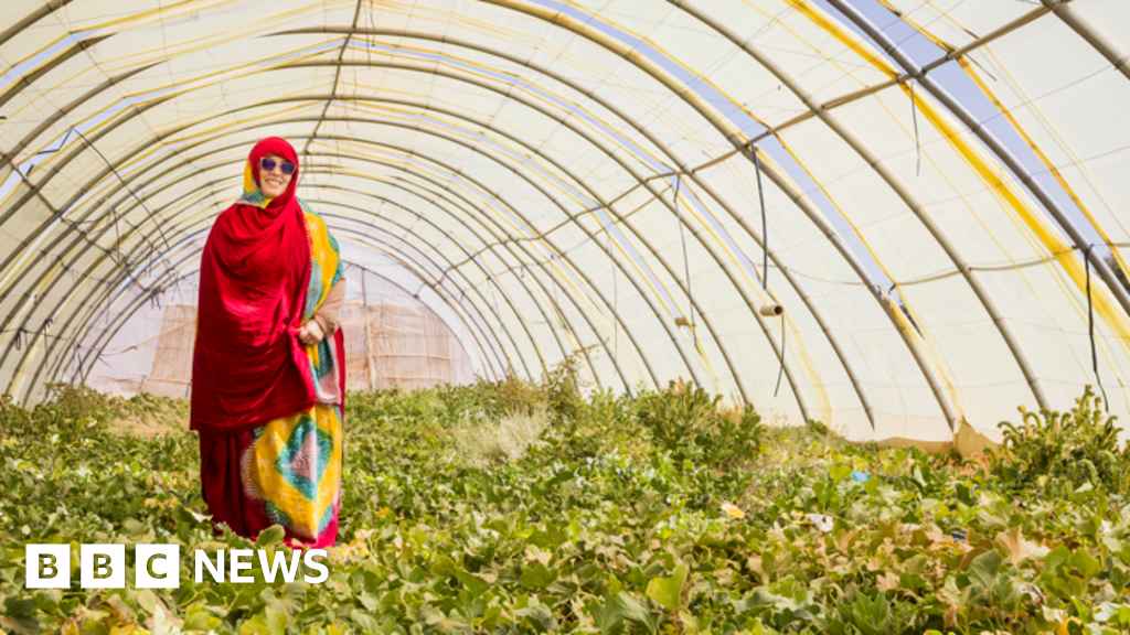 ‘Manchester helped me grow vegetables in the Sahara’
