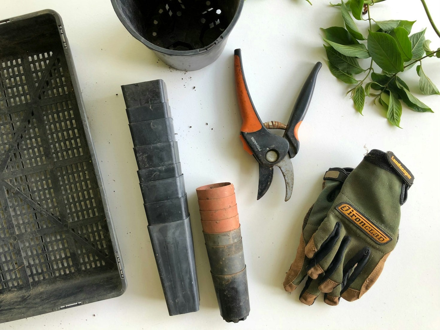 Top 10 Tools Every Gardener Needs