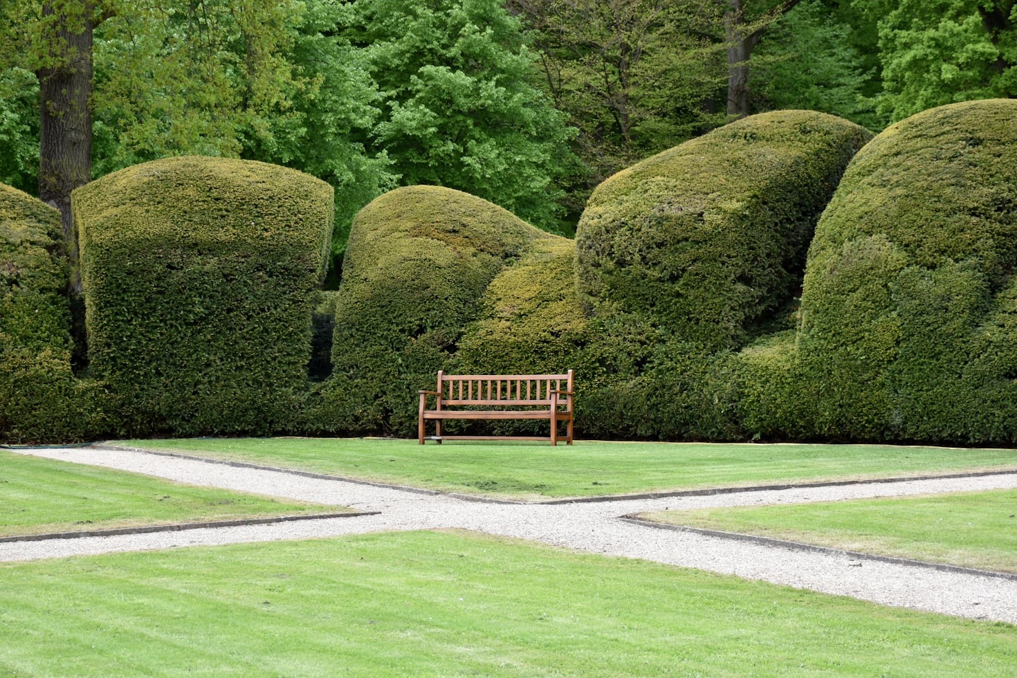 Innovative Gardening Trends to Try This Year